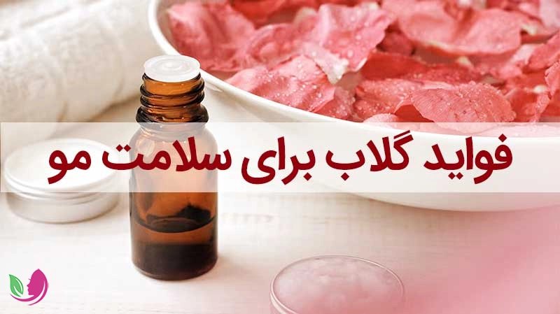 خواص گلاب برای مو