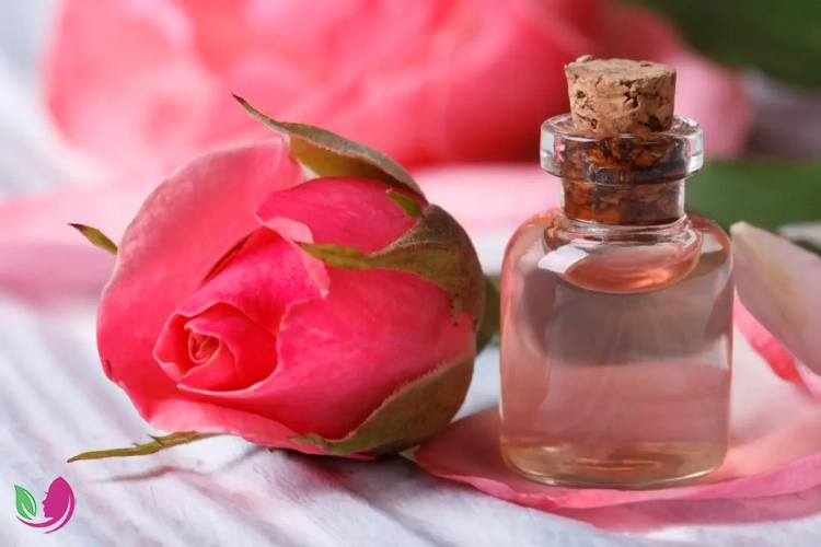 بهترین خواص گلاب برای سلامت پوست و مو