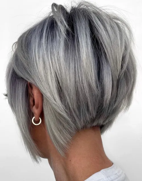 5. پیکسی باب برعکس (Inverted Pixie Bob)
